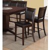 Harrison Counter Height Chair (Set of 2)