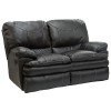 Perez Reclining Loveseat (Steel)