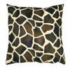 Accent Pillow (Set of 2)