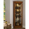 Golden Oak II Corner Curio