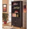 Carlyle Large Door Bookcase